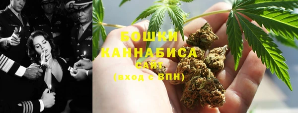 крисы Горняк
