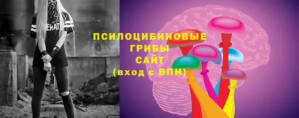 сатива Горнозаводск