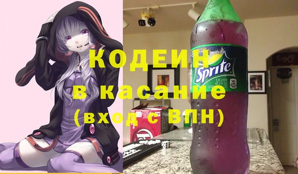 крисы Горняк