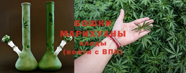 крисы Горняк