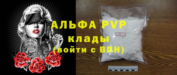 крисы Горняк