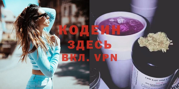 крисы Горняк