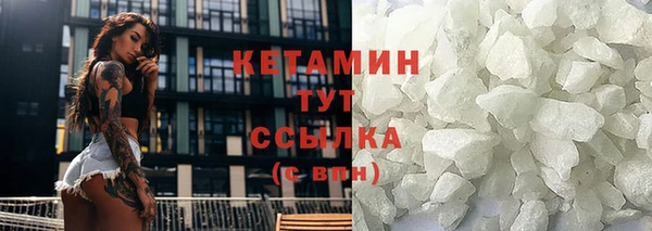 сатива Горнозаводск