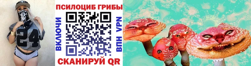 Купить  Билибино  Галлюциногенные грибы Psilocybine cubensis 